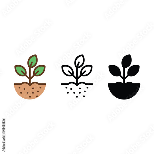 Three stages of plant growth depicted as simple colorful icons