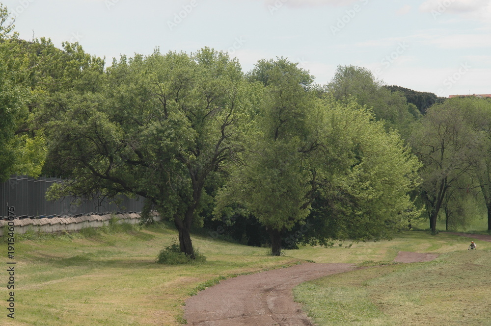 Obraz premium path in the park