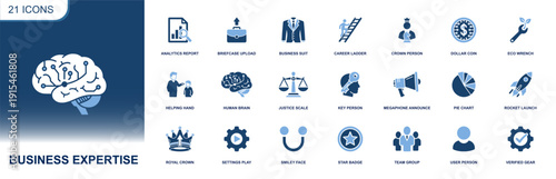 Business expertise icon set. Containing analytics, briefcase, business suit, crown leader, career ladder, star badge, team, verified gear, charts and more. Solid fill icons collection.