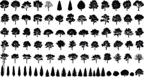 Large collection of diverse tree silhouettes including deciduous and conifer shapes isolated on white background for landscape design use projects