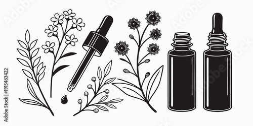 Essential oils and their natural plant sources in a botanical illustration Vector