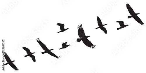 A flock of birds flying in a diagonal formation against a white background Vector