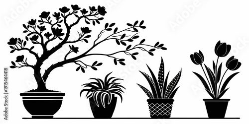 Three potted plants with varying growth stages in a row Vector