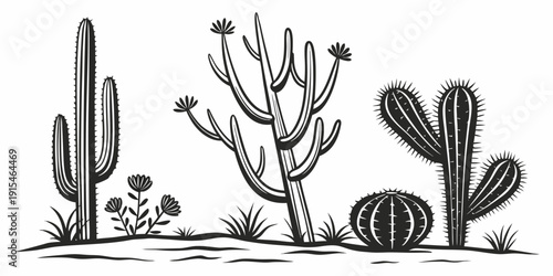 A diverse collection of cacti and succulents in a desert landscape Vector