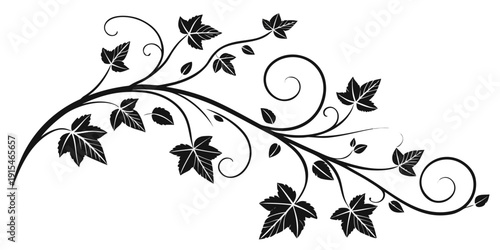 Intricate black and white leafy design with elegant swirling patterns Vector
