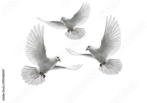 Three white doves in flight against a stark black background