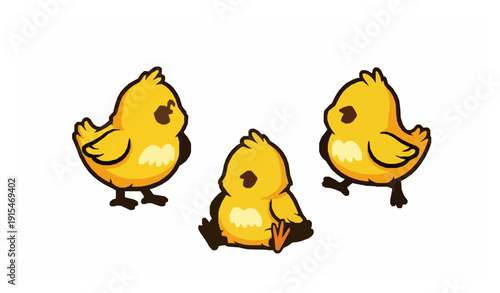 Cartoon Easter chick vector collection with three yellow chickens isolated on white background