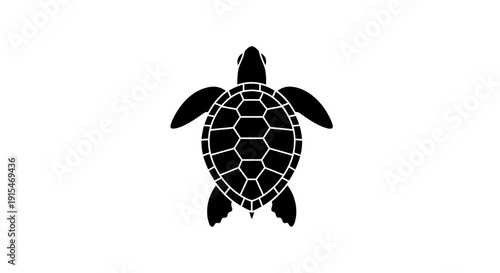 Black Silhouette of a Sea Turtle from Top View.