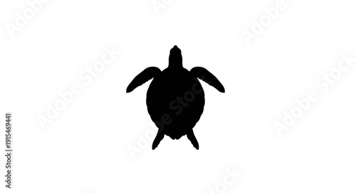 Black silhouette of a sea turtle on a white background top view.