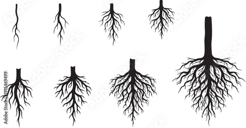 Set of black root system illustrations on white