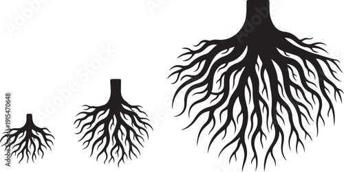 Black silhouettes of tree roots on white background