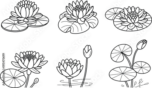 Black and white line of lotus flowers and lily pads line black and white plants