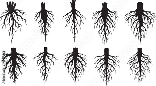 Set of black silhouettes of tree roots system