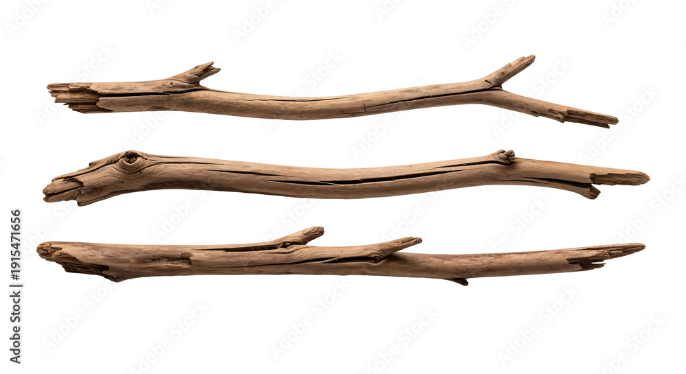 Obraz premium Three brown driftwood branches isolated on white background