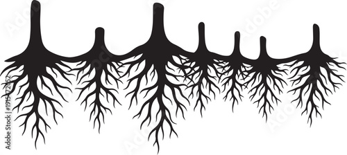 Neuron Branches Silhouette on White Background Illustration