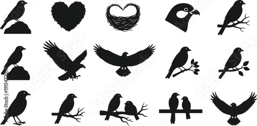 Black vector silhouette set of diverse garden birds eagles and nests for nature wildlife ornithology spring forest backyard birding and conservation branding design