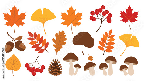 Diverse collection of vibrant autumn elements featuring colorful maple leaves, ginkgo leaves, oak leaves, pine cones, wild mushrooms, rowan berries, and acorns.