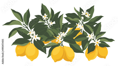 Lush branches of a lemon tree laden with vibrant, ripe yellow lemons and delicate white blossoms, symbolizing freshness and natural growth.