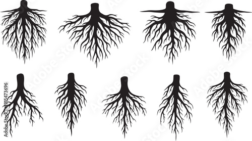 Set of black root system silhouettes on white
