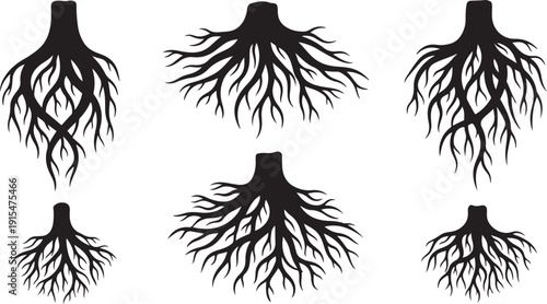 Set of black tree root silhouettes on white background