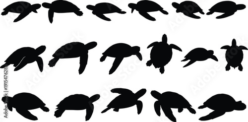 Collection of black sea turtle silhouettes in various swimming and diving poses for marine life ocean underwater nature and conservation,