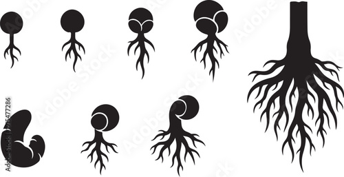 Plant Root Growth Stages Silhouette Vector Illustration Set