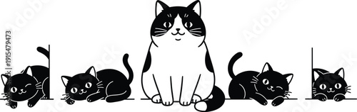 Cute black and white cat characters set in different poses, vector illustration isolated on white background
