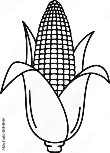 A stylized illustration depicts a single ear of corn with husks peeled back