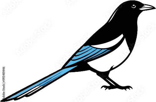 A stylized black and white bird with bright blue accents on its wings and tail