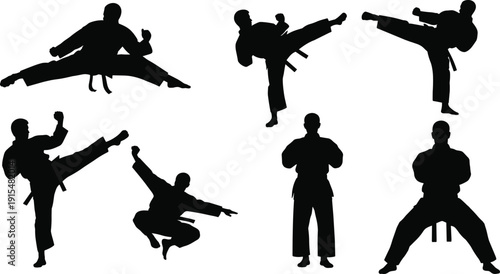 Black silhouettes of martial arts athletes performing karate kicks and poses isolated on white background, combat sport vector illustration set,
