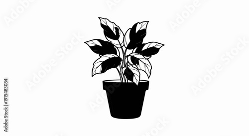 A stylized black and white illustration of a potted plant with variegated leaves