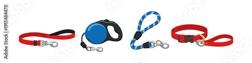 Collection of dog leashes and collars for pet walking and training