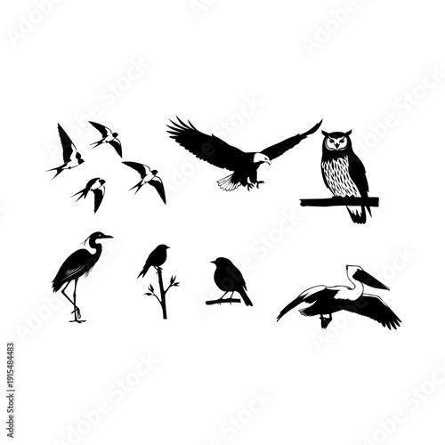 Artistic and detailed silhouettes of birds like owls, eagles, herons, and pelicans