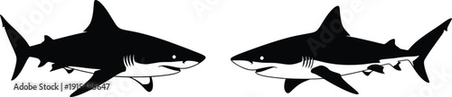 Two shark heads facing each other in black and white