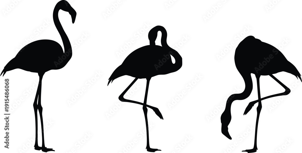 Fototapeta premium Three flamingos in different poses silhouette
