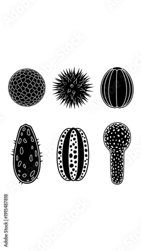 Collection of Diverse Microorganism Silhouettes: Bacteria, Protozoa, and Spores