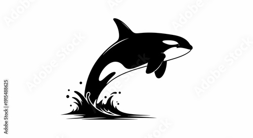 Orca Killer Whale Leaping Out of Water Splash.