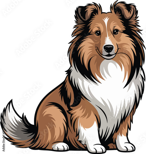 Cute cartoon a illustrator vector shetland sheepdog