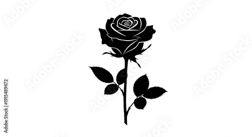 Elegant Black Rose Silhouette with Detailed Petals and Stem 1.