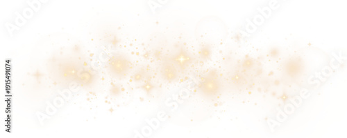 Fantasy shimmer with glowing stardust particles and sparkling light.