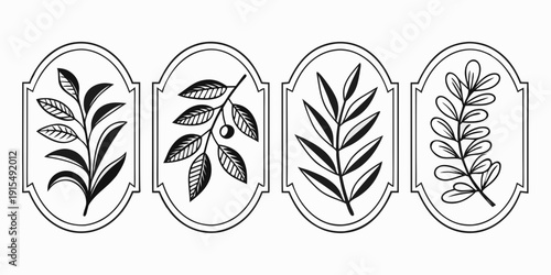Four distinct botanical illustrations showcasing various leaf patterns and designs Vector