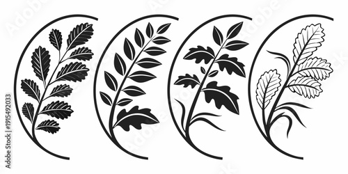 Intricate black and white illustration of various leaf designs Vector