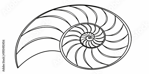 Intricate spiral patterns of a nautilus shell showcasing nature's perfect symmetry Vector