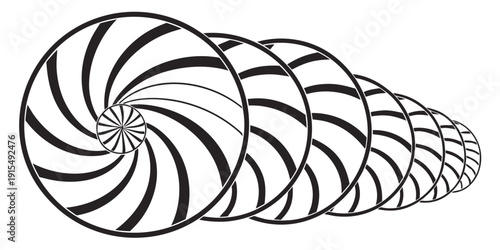 A detailed illustration of a nautilus shell showcasing its intricate spiral pattern Vector