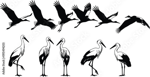 Collection of western silhouettes including cowboy sheriff star horse cactus boots and wild west icons for desert and country designs,