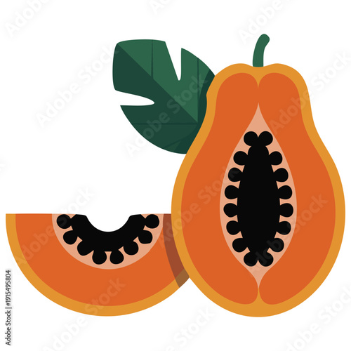 Exotic papaya with green skin and orange flesh cartoon style vector design