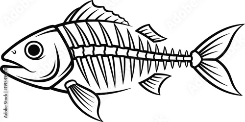 Black and white of a fish with visible skeleton bones