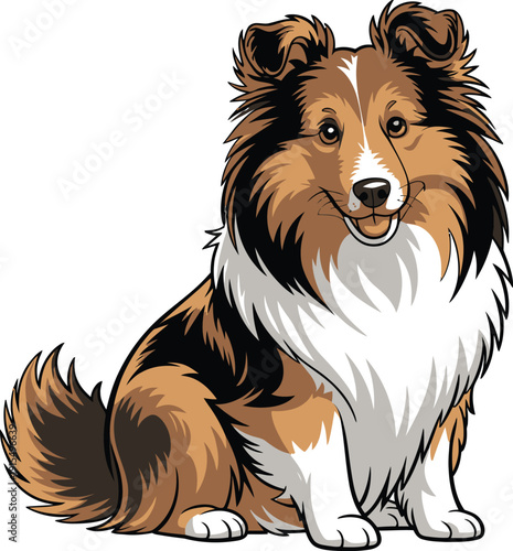 Cute cartoon a illustrator vector shetland sheepdog