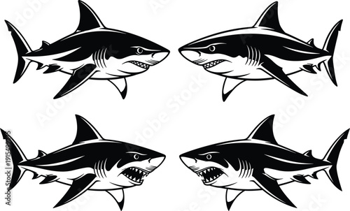 Four black and white sharks swimming in different directions
