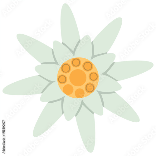 Alpine blossom for outdoor adventure themes vector design